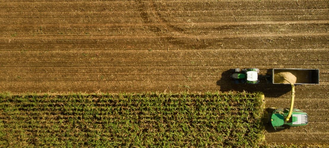 bernd-dittrich-sgRZ3LfngfM-unsplash