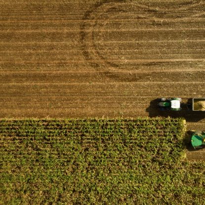 bernd-dittrich-sgRZ3LfngfM-unsplash