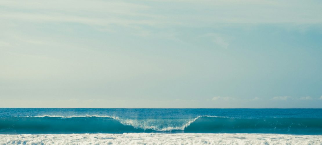 ivan-cheremisin-g0LbmrffxkQ-unsplash