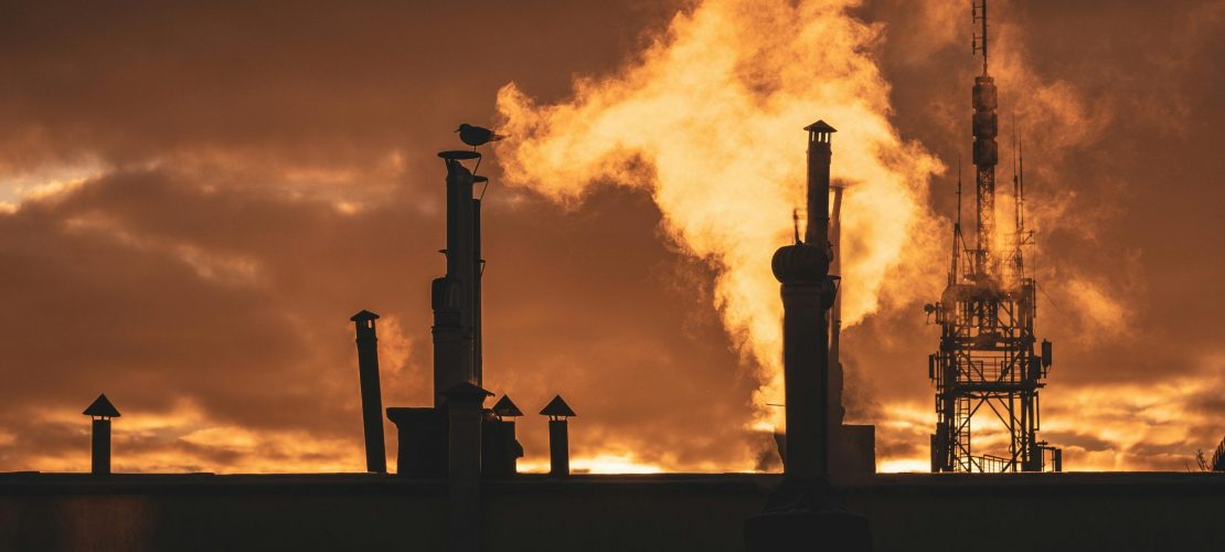 pexels-alice1-7080938_02